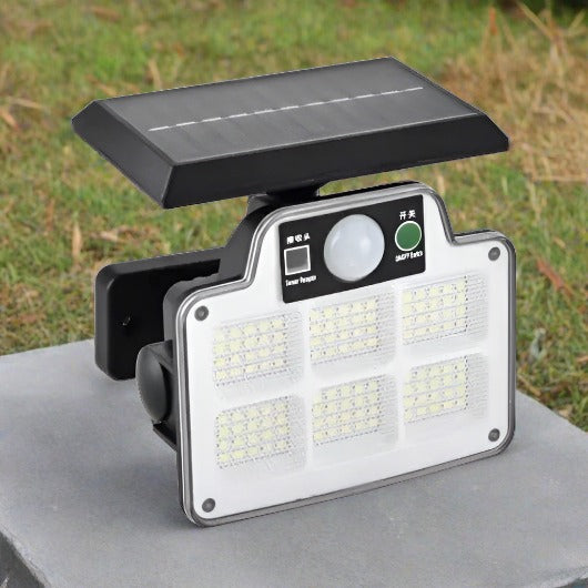 Solar Motion Sensor Light With Remote